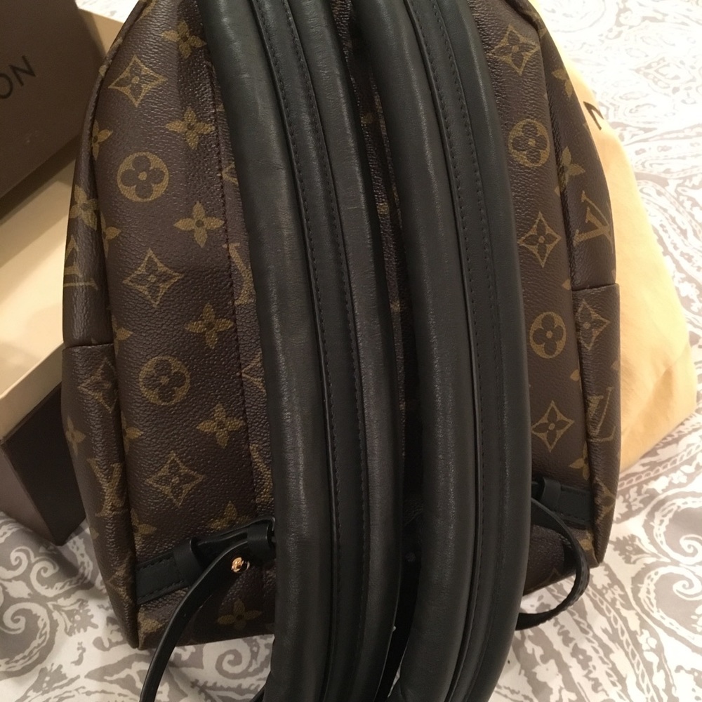 Louis Vuitton Palm Springs PM Backpack - Picture 3 of 8